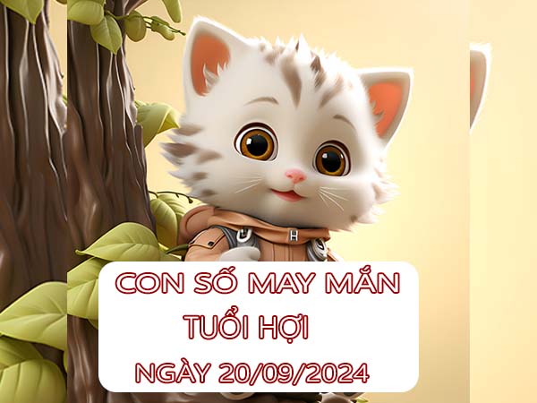 Mách bạn con số may mắn tuổi Hợi ngày 20/9/2024