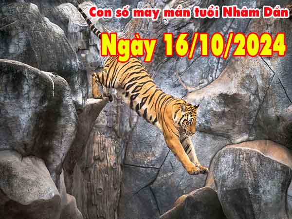 Con số may mắn tuổi Nhâm Dần ngày 16/10/2024 thứ 4 hôm nay