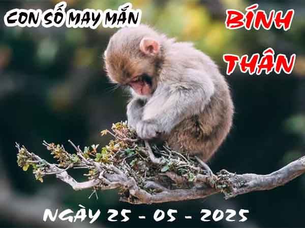 Con số may mắn tuổi Bính Thân ngày 25/5/2025 chủ nhật hôm nay