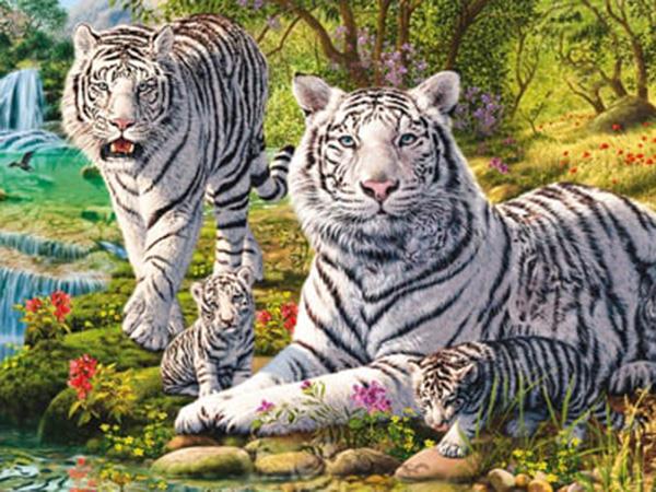 Giải mã tử vi trọn đời đi tìm con số may mắn tuổi Dần