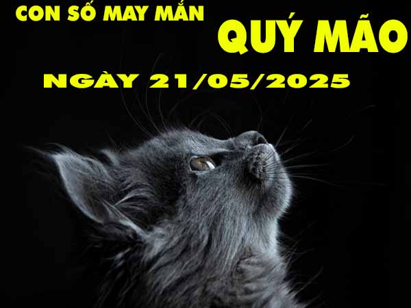 Con số may mắn tuổi Quý Mão ngày 21/5/2025 thứ 4 hôm nay