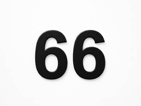 Ý nghĩa số 66 trong phong thủy may mắn và phúc lộc