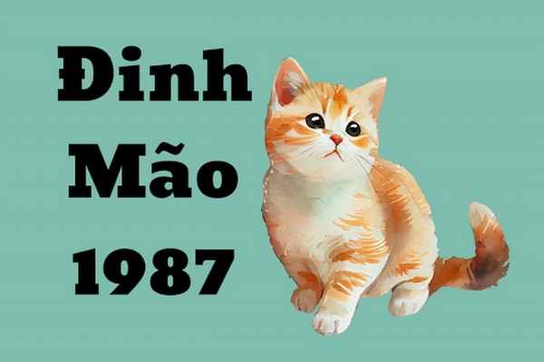 Số phát tài tuổi Đinh Mão 2/7/2025 có gì đặc biệt?