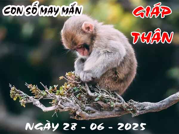 Cặp số đẹp tuổi Giáp Thân ngày 28/6/2025 thứ 7 hôm nay
