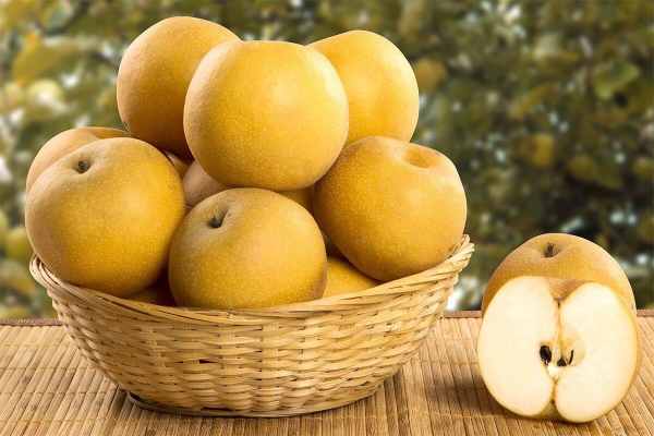 Luận giải giấc mơ thấy quả lê: May mắn hay rắc rối?