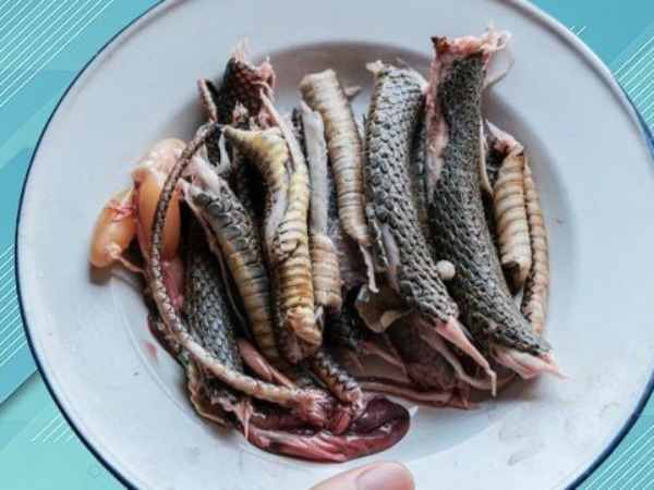 Chiêm bao thấy ăn thịt rắn