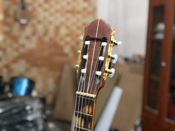 Nằm mơ thấy cây đàn và những điềm báo ý nghĩa nên biết