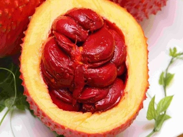 Mơ thấy quả gấc báo hiệu điều gì trong cuộc sống?