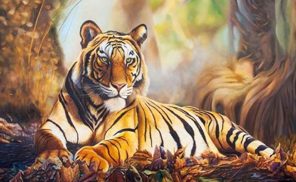 Hé lộ con số phát tài tuổi Nhâm Dần 12/10/2025 hôm nay