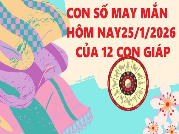 Con số may mắn ngày 25 tháng 1 năm 2026 Chủ nhật 12 con giáp