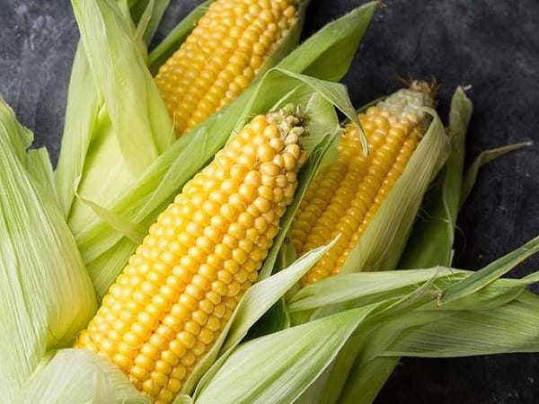 Giải mã nằm mơ thấy bắp ngô tốt hay xấu, con số nào lộc