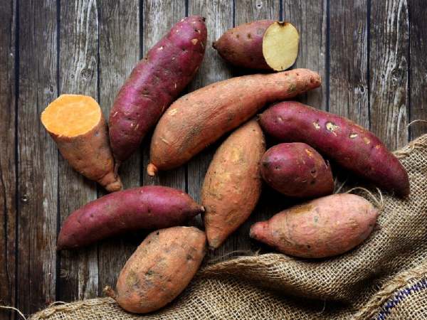 Chuyên gia giải thích nằm mơ thấy khoai lang là điềm gì?