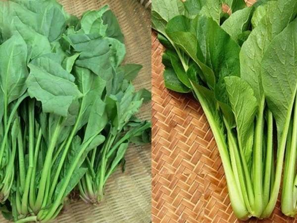 Chiêm bao thấy rau cải xanh (chung chung)