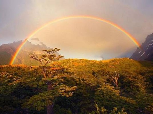 Nằm mơ thấy cầu vồng là điềm gì, con gì vượng lộc nhất?