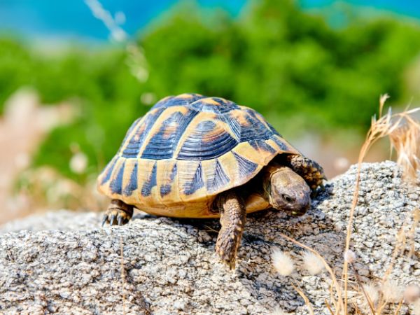 Tham khảo soi cầu QT ngày 9/4/2026 thứ 5 miễn phí